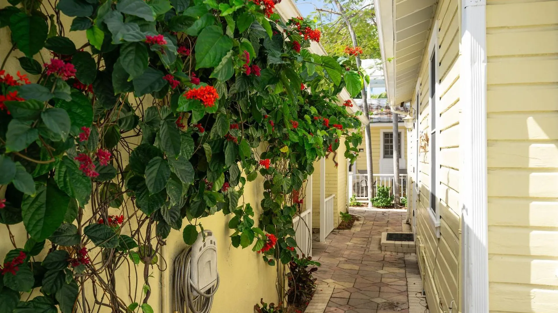 The Cozy Little Cottage Key West Apartment